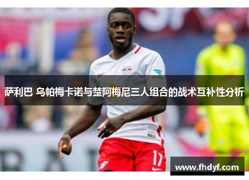 萨利巴 乌帕梅卡诺与楚阿梅尼三人组合的战术互补性分析 萨利巴 乌帕梅卡诺与楚阿梅尼三人组合的战术互补性分析